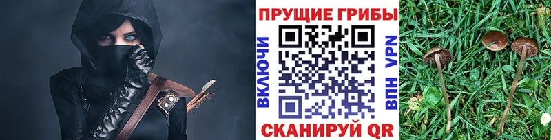 Галлюциногенные грибы прущие грибы  магазин продажи   Сокол 