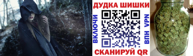 Конопля план  закладки  Сокол 